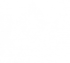 Division of Workforce Services